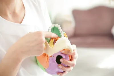 Osteopatia OSTEO.LIVE